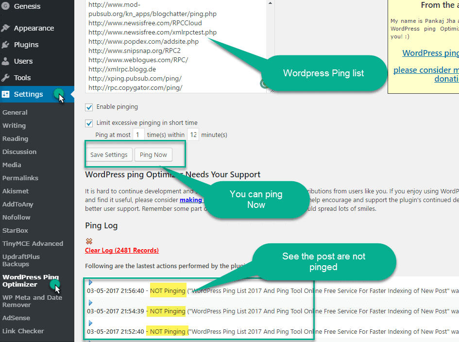 Wordpress ping optimizer plugin setting page