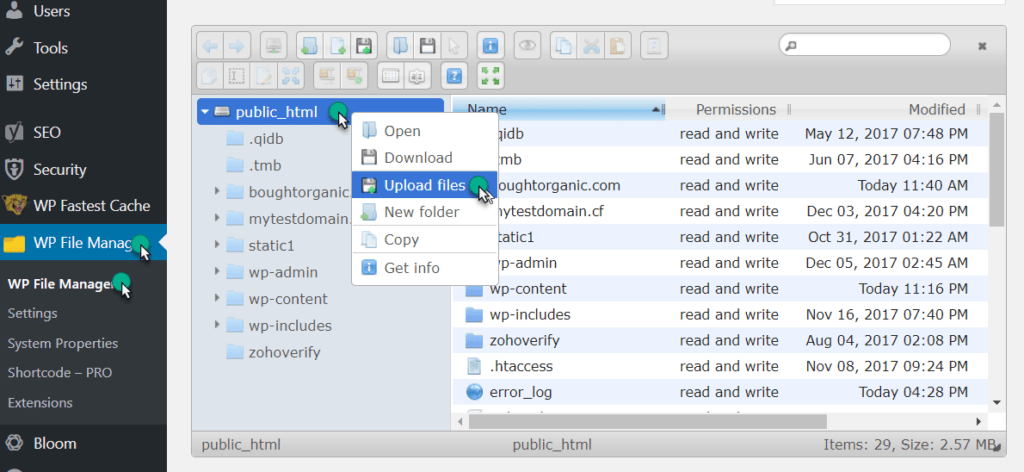 upload file to the root of domain