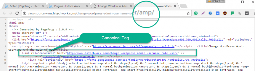 Canonical tag in source code of amp page