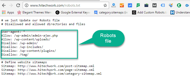 Check Your robots.txt File in browser