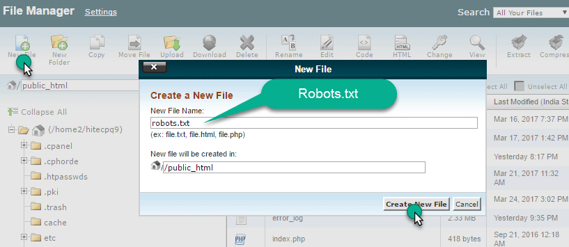 Create a new file in cpanel