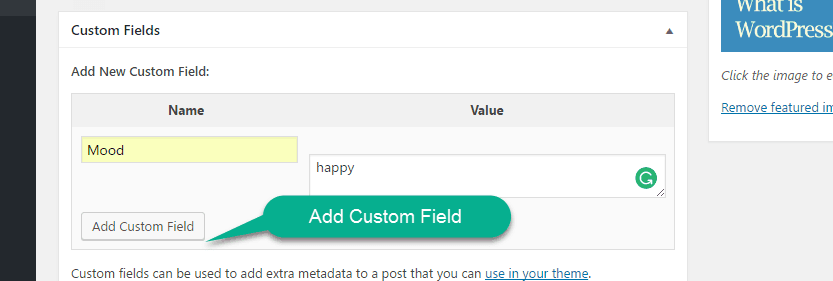 custom field