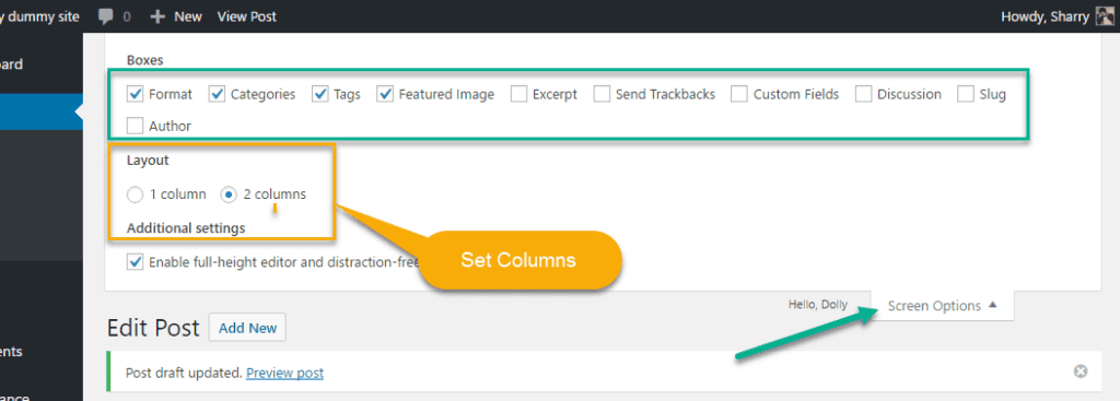 screen option in wordpress