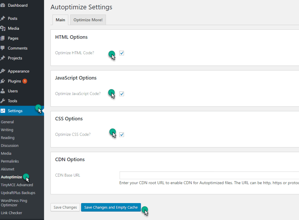 autoptimize setting