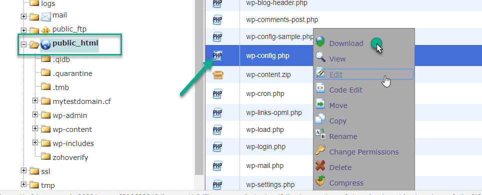 wp-config file in capnel