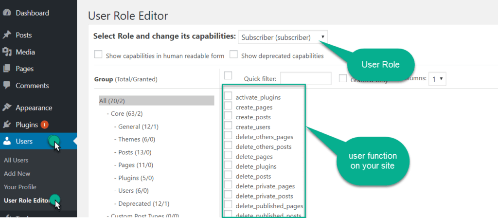 custome url role list in the user role plugin