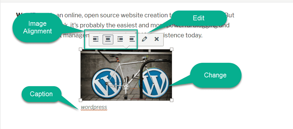 image alingment in wordpress editor