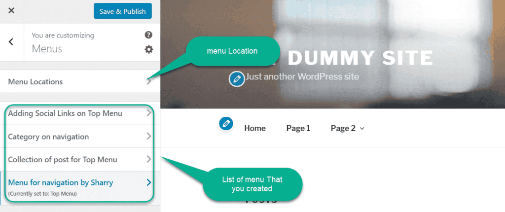 menu loaction in customizer in wordpress