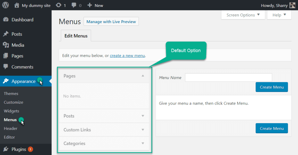 Wordpress Menu Location and default feature