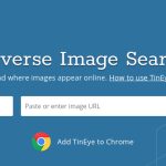 Perform a Reverse Image Search