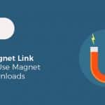 Magnet Link Search