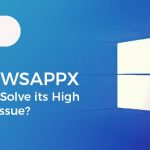 What Is Wsappx