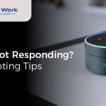 alexa echo dot not responding to voice