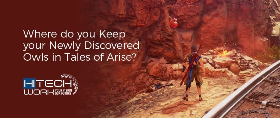 owl locations tales of arise