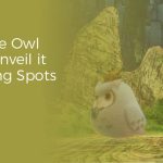 tales of arise owl locations