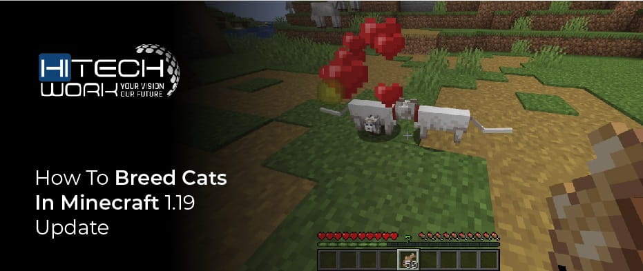 Breed Cats In Minecraft 1.19 Update