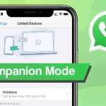 WhatsApp Brings “Companion Mode