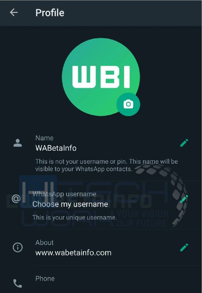 Step 2 - Screenshot Grab of WABetaInfo