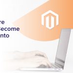 Magento Developer