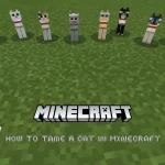 How to Tame a Cat in Minecraft